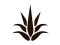 Potah Aloe Vera